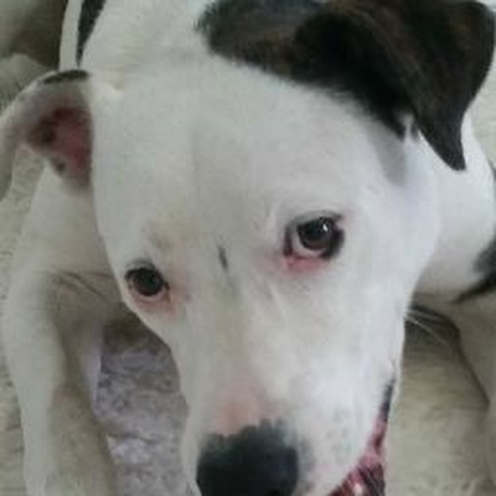 Meet your Posher, C.